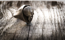 Carica l'immagine nel visualizzatore di Gallery, Anello mosca argento 925 , silver sterling fly oxidized ring collection " Arthropoda "