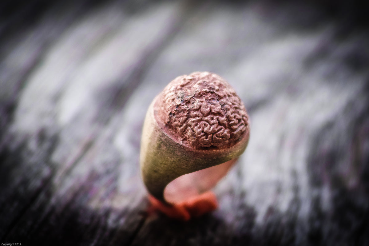 Anello cervello in ottone ossidato brass brain and oxidized ring collection