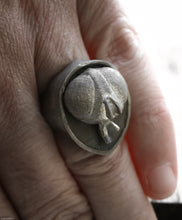 Carica l'immagine nel visualizzatore di Gallery, Anello mosca argento 925 , silver sterling fly oxidized ring collection " Arthropoda "