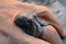 Carica l&#39;immagine nel visualizzatore di Gallery, Anello polpo gigante argento 925 silver sterling octopus fish skull oxidized ring chevalier collection &quot; Kraken &quot;
